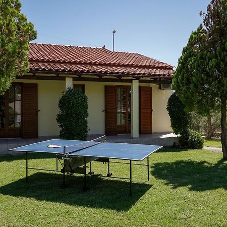 Lefkothea Villas With Large Pool, Bbq & Playground Αδελιανός Κάμπος Εξωτερικό φωτογραφία